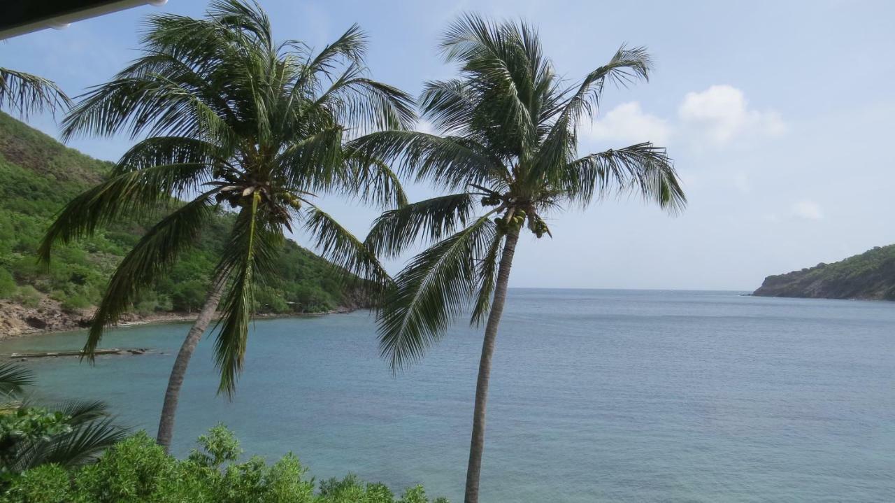 Hotel Ucpa Les Saintes Marigot Ngoại thất bức ảnh